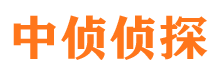 潼关市侦探公司